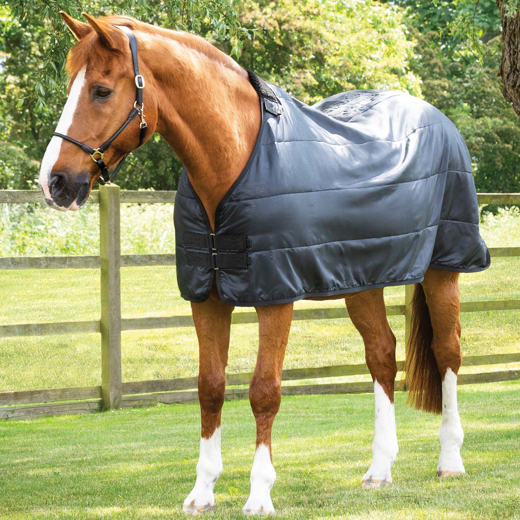 Premier Equine 350g Black Horse Rug Liner: Breathable, Anti-Static, Quilted Design for Comfort & Warmth, Equiflair Store