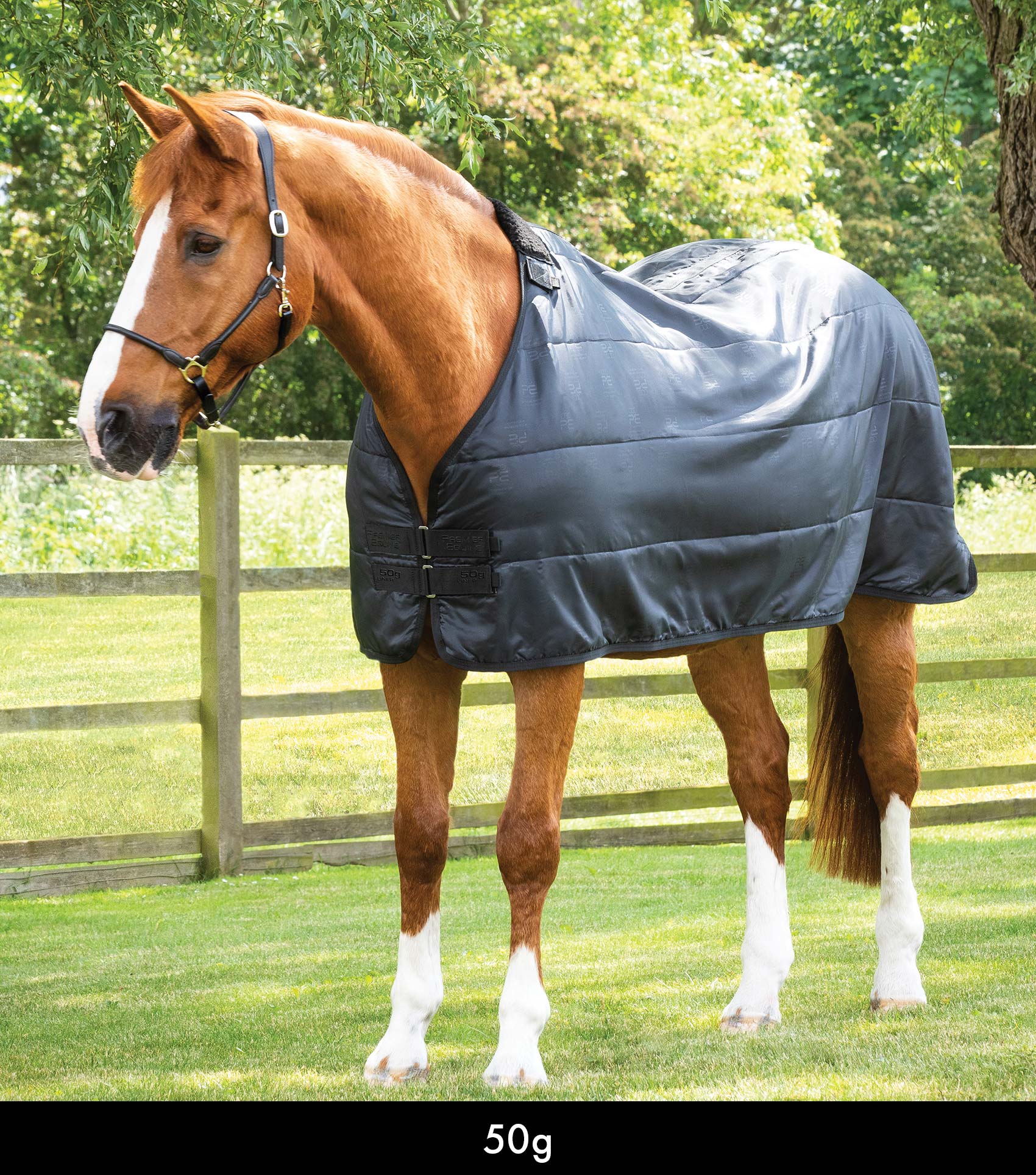 Premier Equine 50g Horse Rug Liner Black: Breathable, Lightweight, Antibacterial Protection
