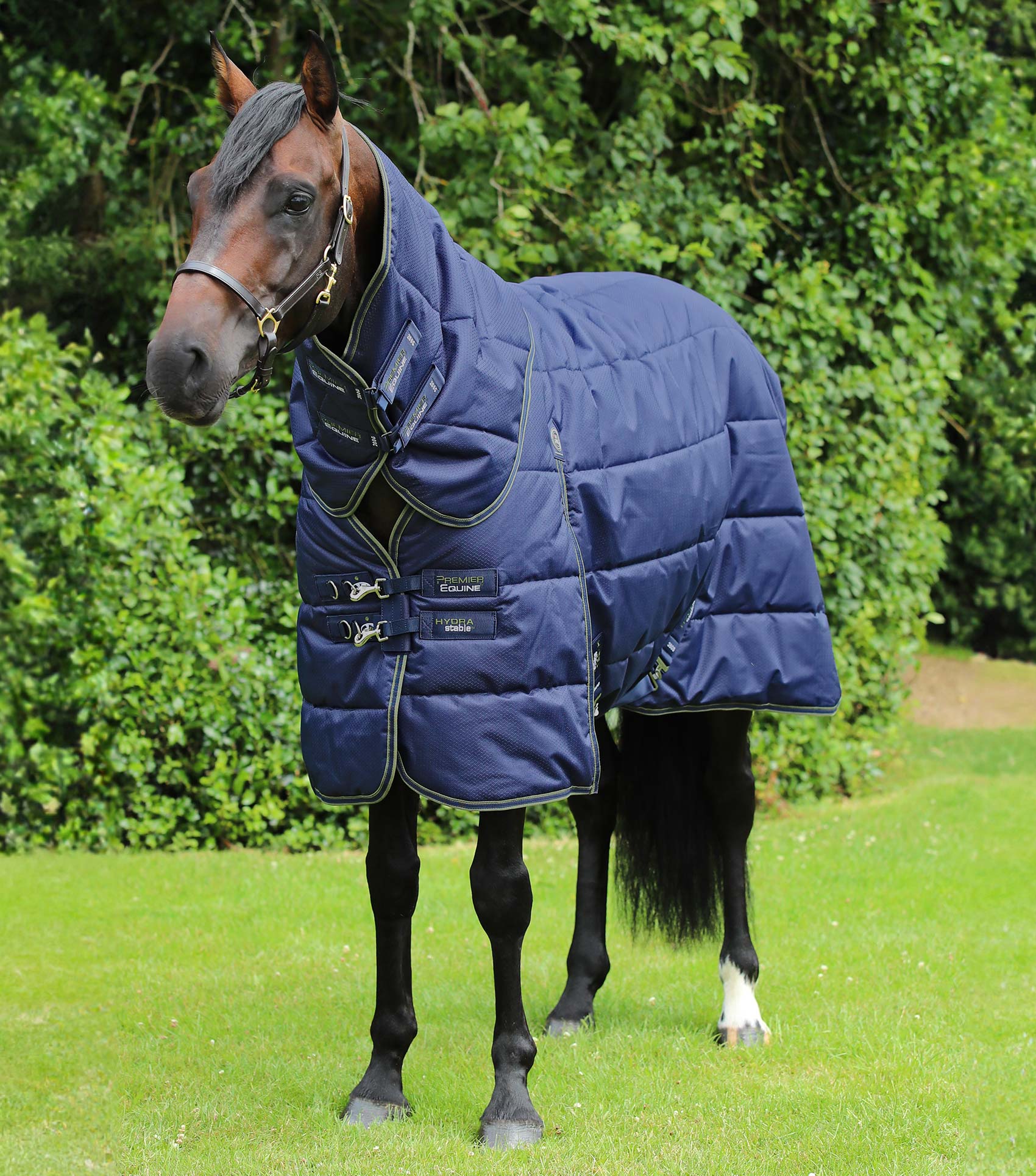 Horse in Premier Equine Hydra 350g Stable Rug with Neck Cover - Navy | Equiflair