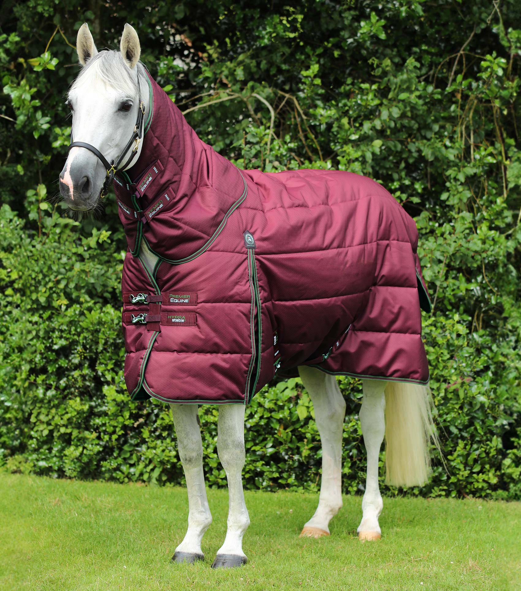 Horse wearing Premier Equine Hydra 350g Stable Rug with Neck Cover in Wine color. Heavyweight, quilted horse blanket.