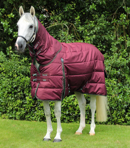 Horse wearing Premier Equine Hydra 350g Stable Rug with Neck Cover in Wine color. Heavyweight, quilted horse blanket.