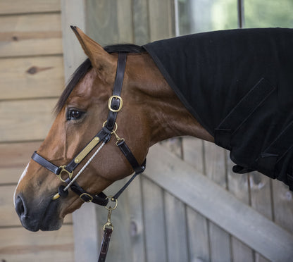 Brown Horse with ThinLine Busy Buddy Calmer. Anti-Stress, Grooming and Equine Vet Aid available at Equiflair.