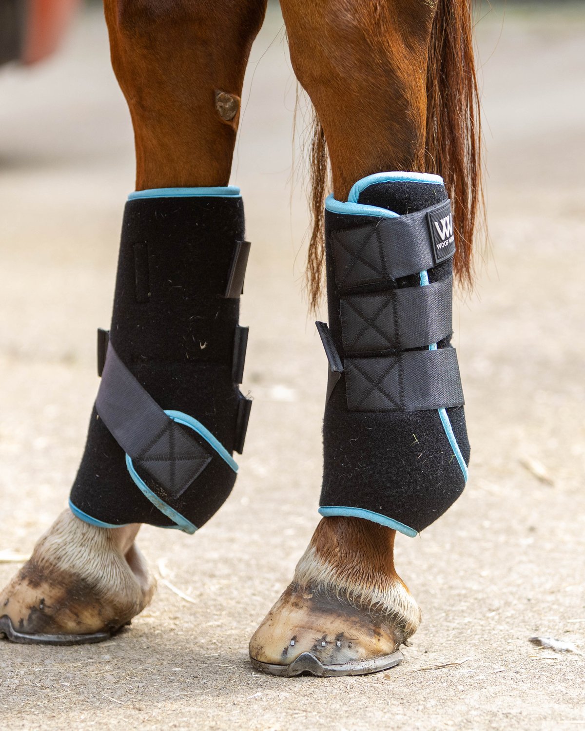 Woof Wear Polar Ice Boots - Horse Leg Cooling & Recovery - Black Turquoise Equine Therapy