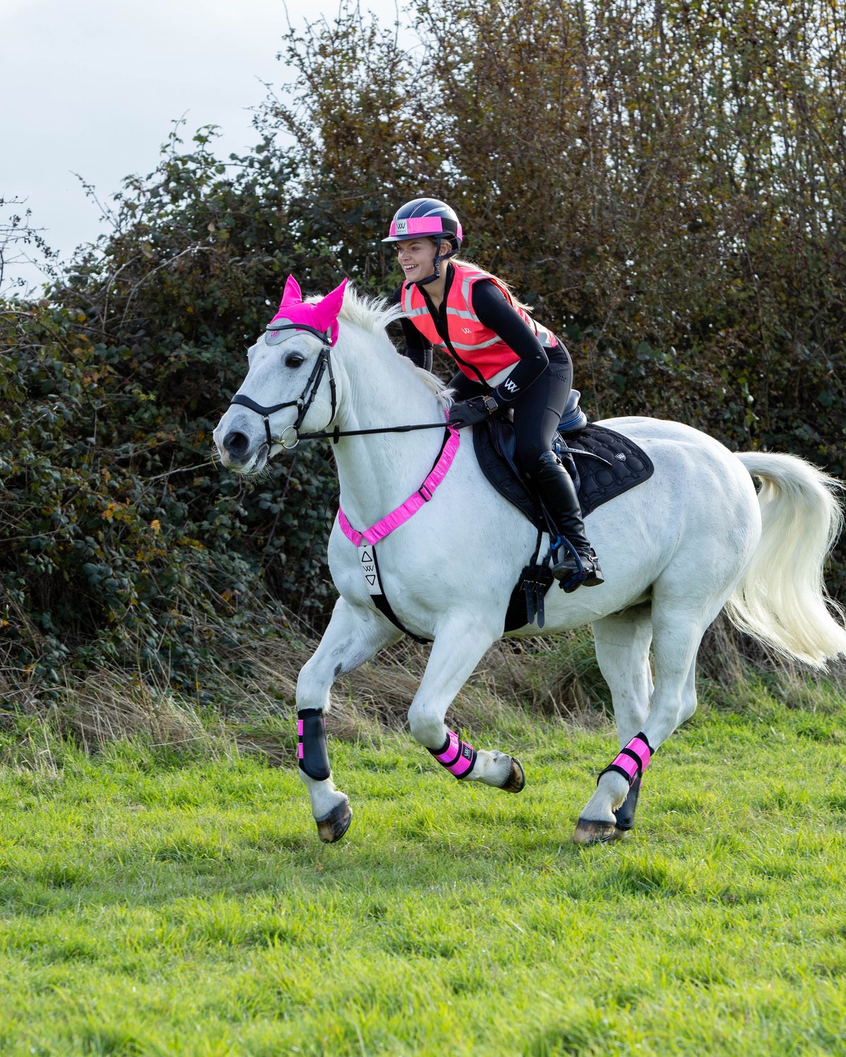 Horse and Rider in Pink Hi-Vis Gear by Woof Wear | Equiflair