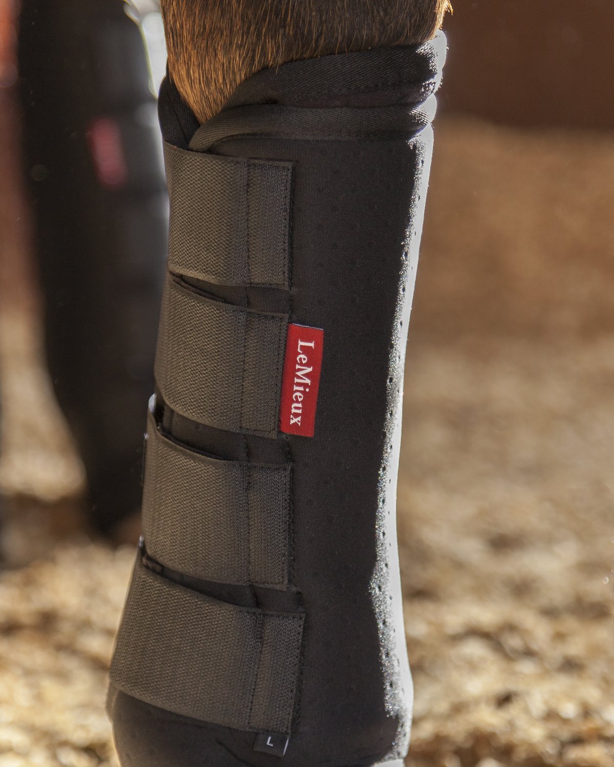 Lemieux Stable Boots Black - Horse Leg Protection - Equiflair