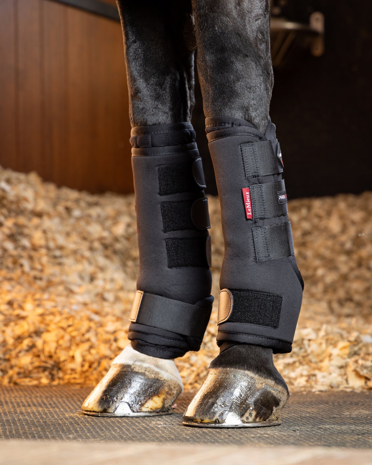 LeMieux Black Stable Boots for Horses - Equestrian Leg Protection