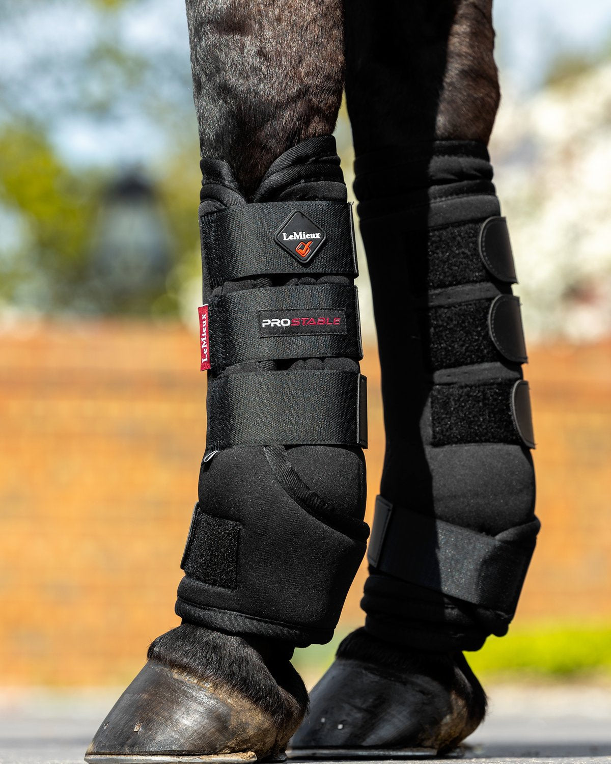 LEMIEUX Stable Boots Black: Horse Leg Protection | Equine Boots