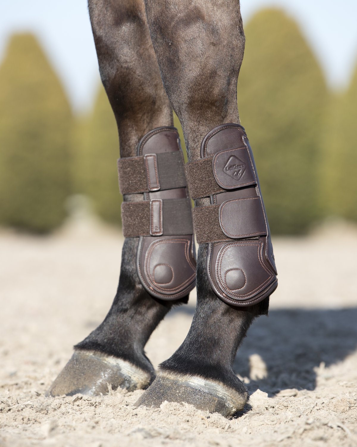 LeMieux Capella Tendon Boots Brown