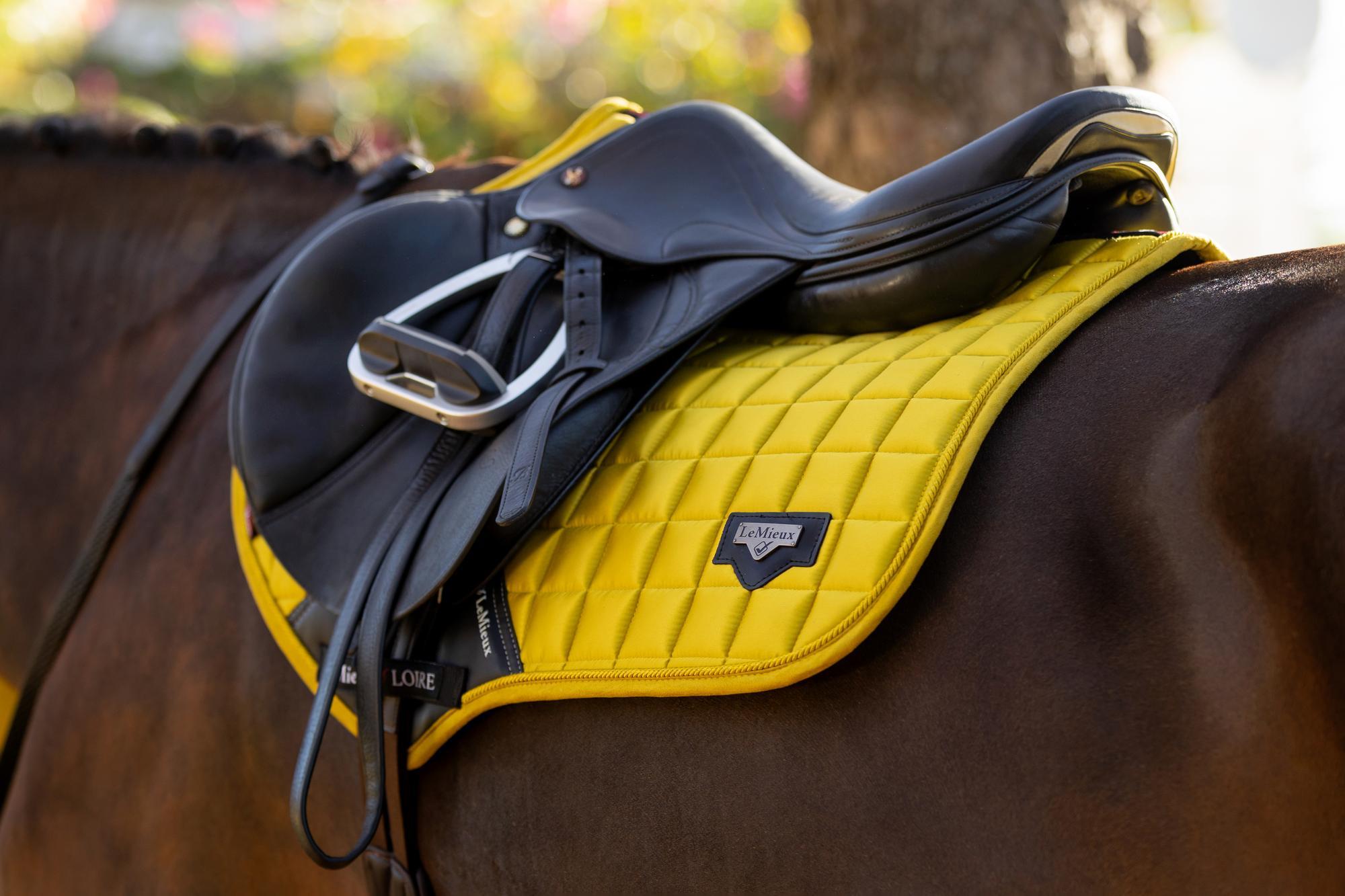 LeMieux Loire Dijon Saddle Pad: Close Contact Square, Memory Foam, Stylish Horse Riding Equipment