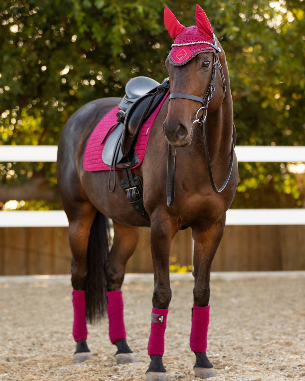 LeMieux Suede Dressage Square Mulberry