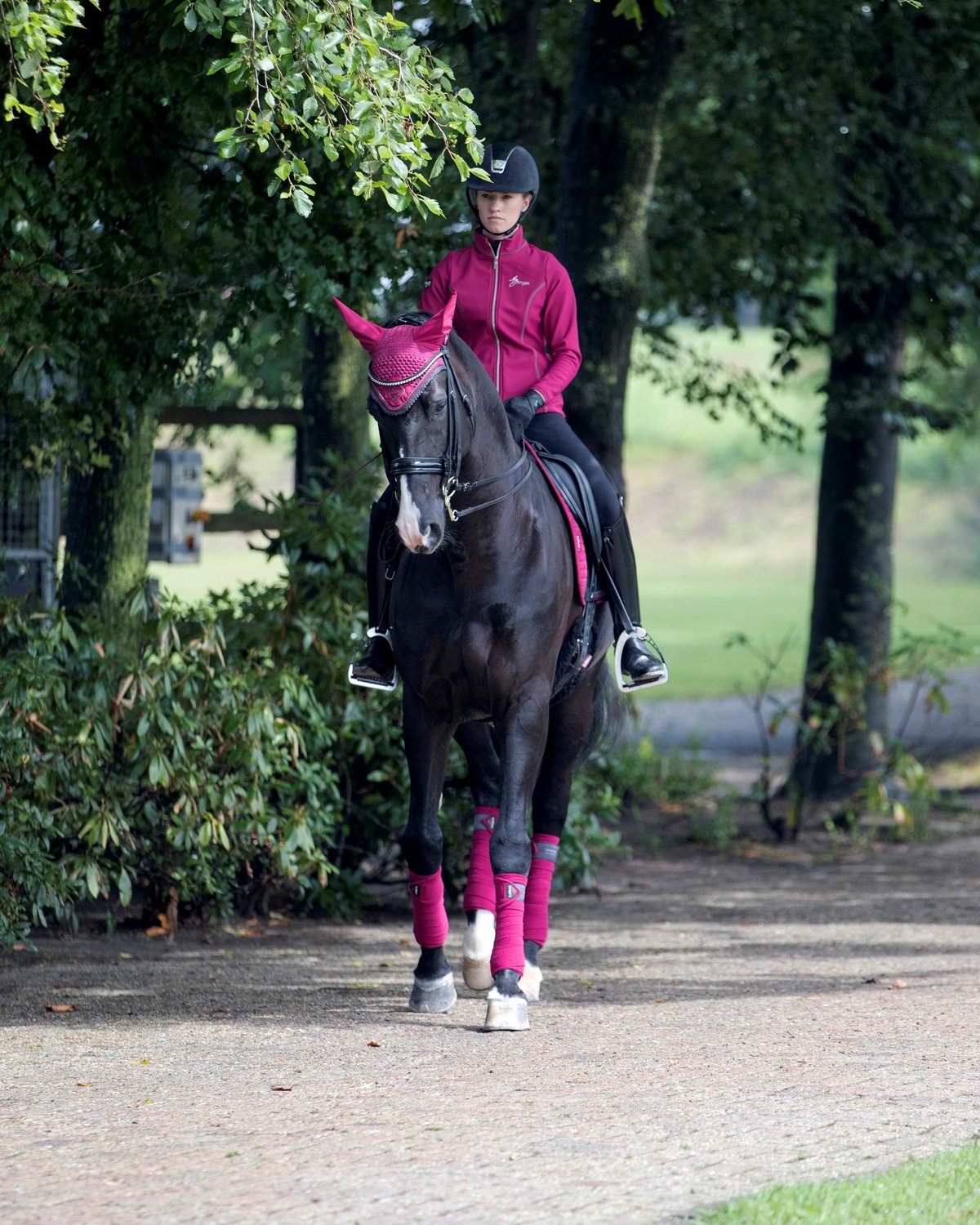 LeMieux Suede Dressage Square Mulberry