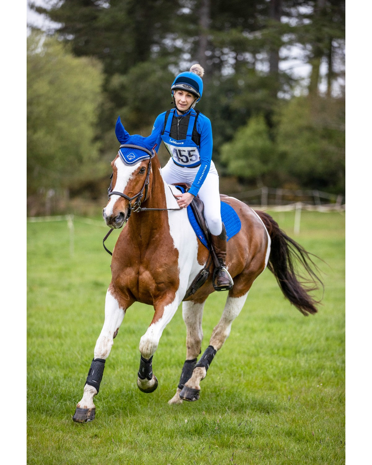 LeMieux Eventing Bib Benetton Blue