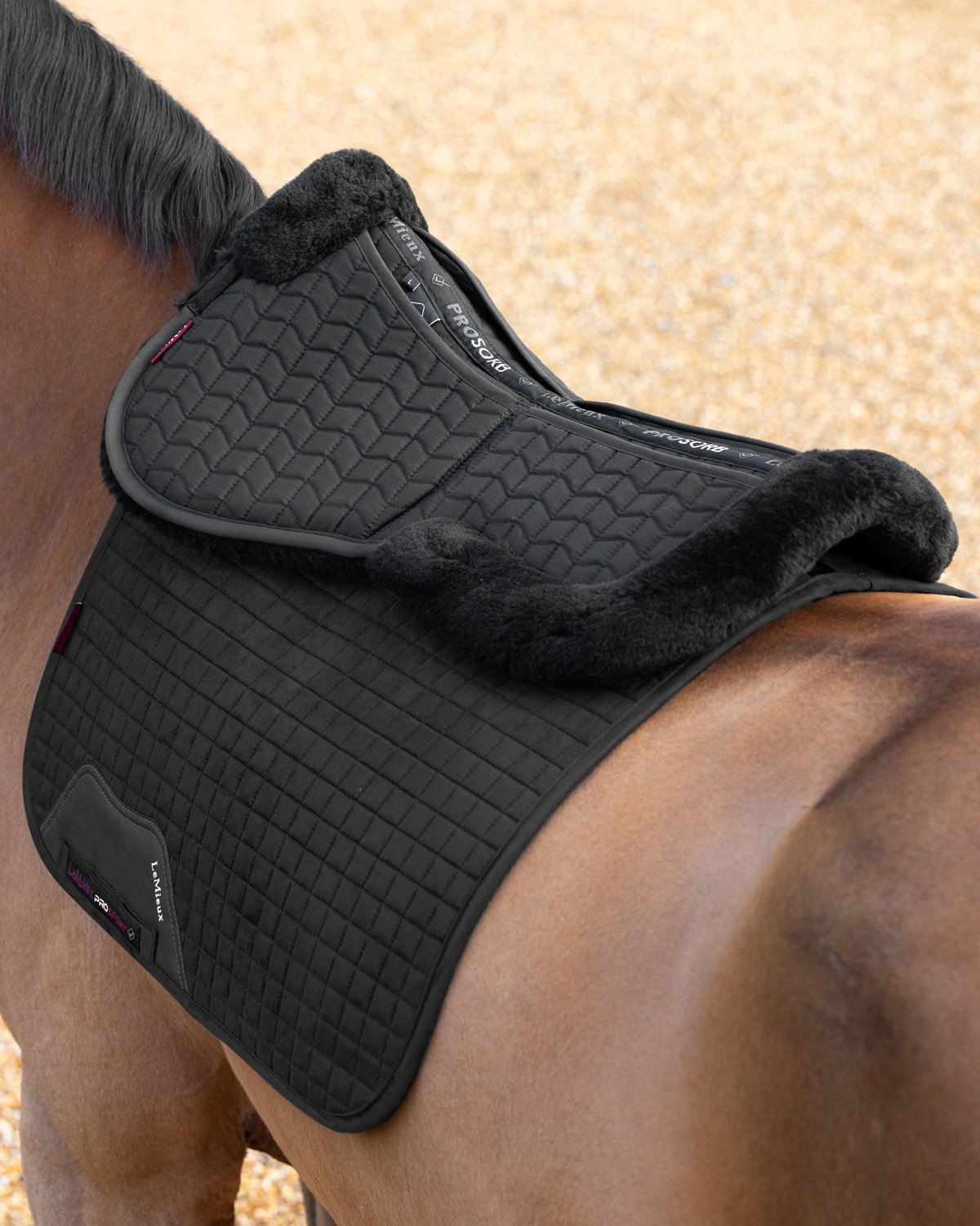 LeMieux Merino+ ProSorb 2 Pocket Half Pad Black/Black