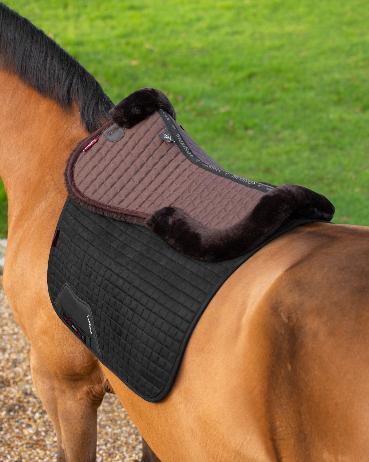 LeMieux Merino+ Half Pad Brown/Brown Horse Saddle Pad Equestrian