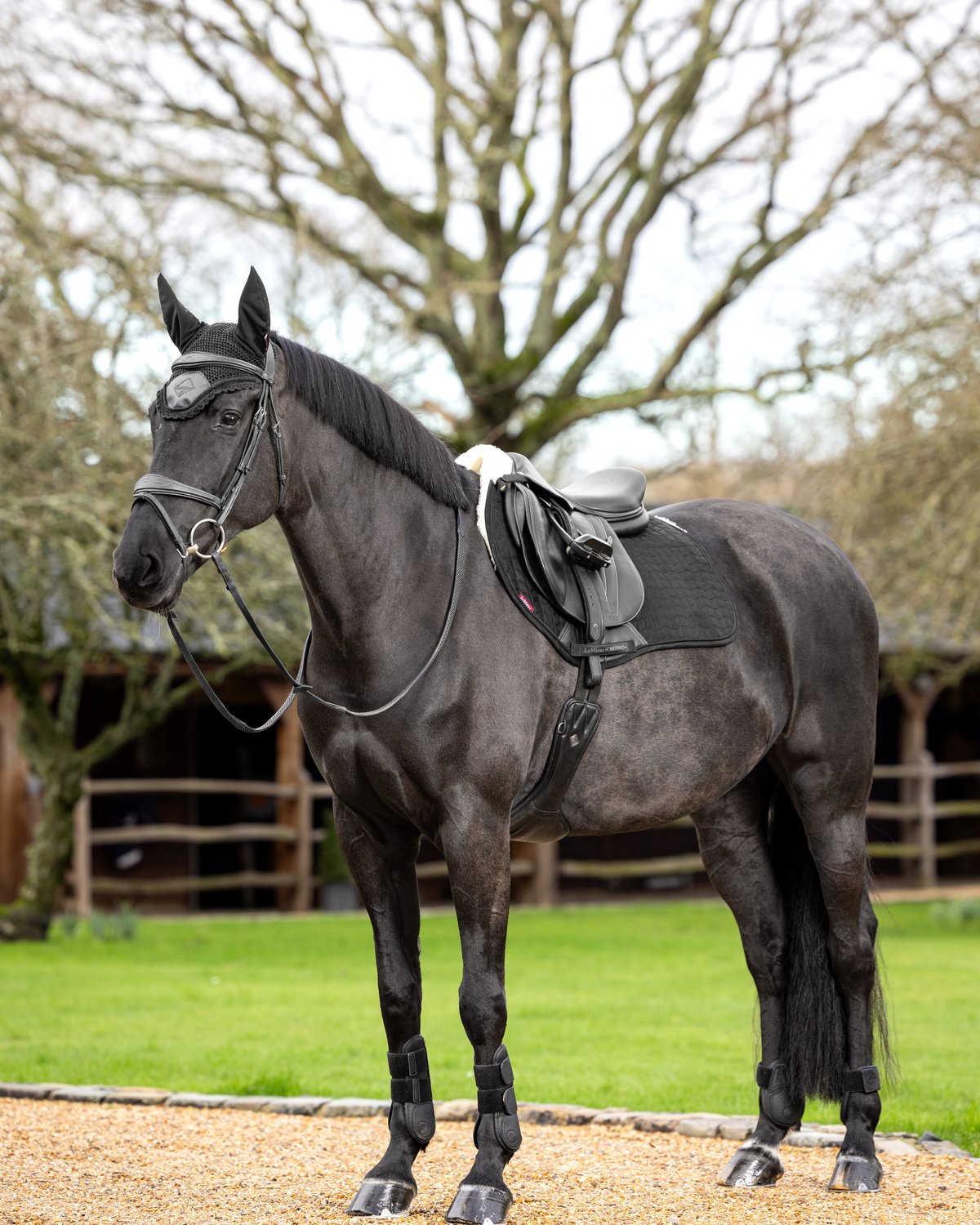 LeMieux Merino+ Suede Eurojump Saddle Pad Black, Horse Riding Equipment