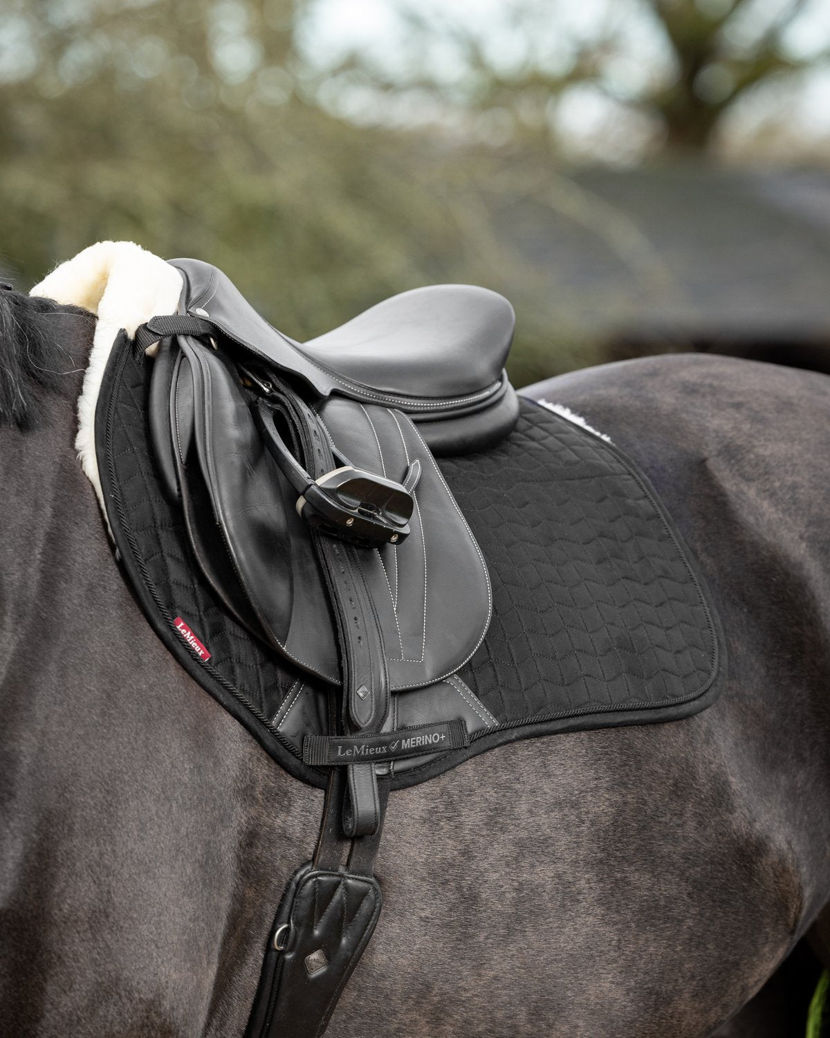 LeMieux Merino+ Eurojump Saddle Pad - Black, Half-Lined for Horse Riding Comfort