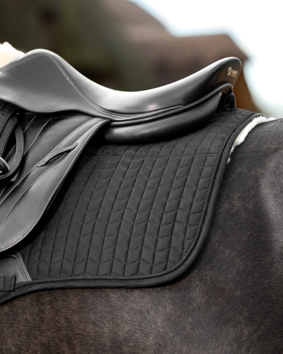 LeMieux Merino+ Half Lined Suede Eurojump Square Saddle Pad Black/Natural | Premium Horse Riding Equipment