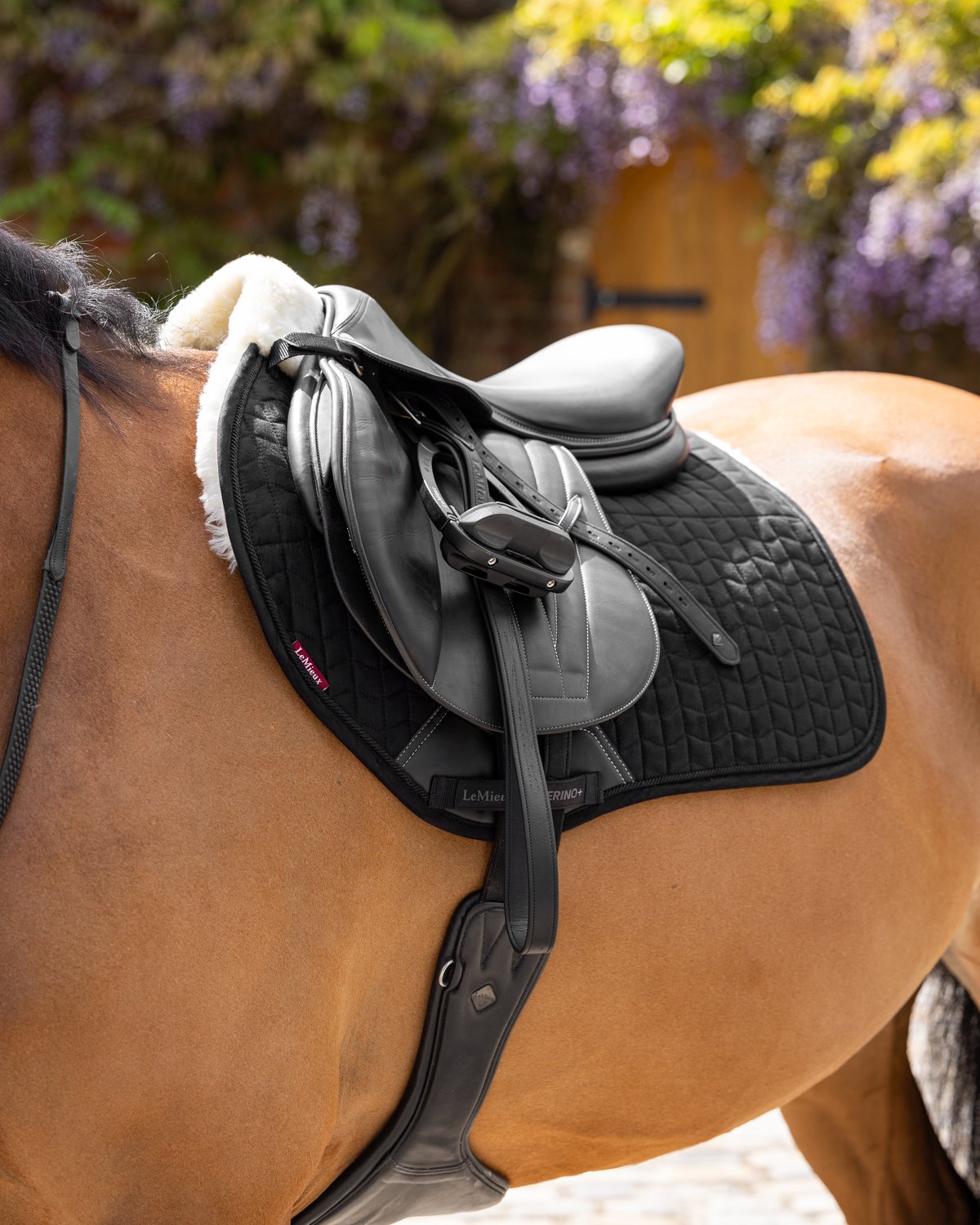 LEMIEUX MERINO+ Black Saddle Pad on Horse: Half-Lined Suede Eurojump for Equestrian Comfort and Fit