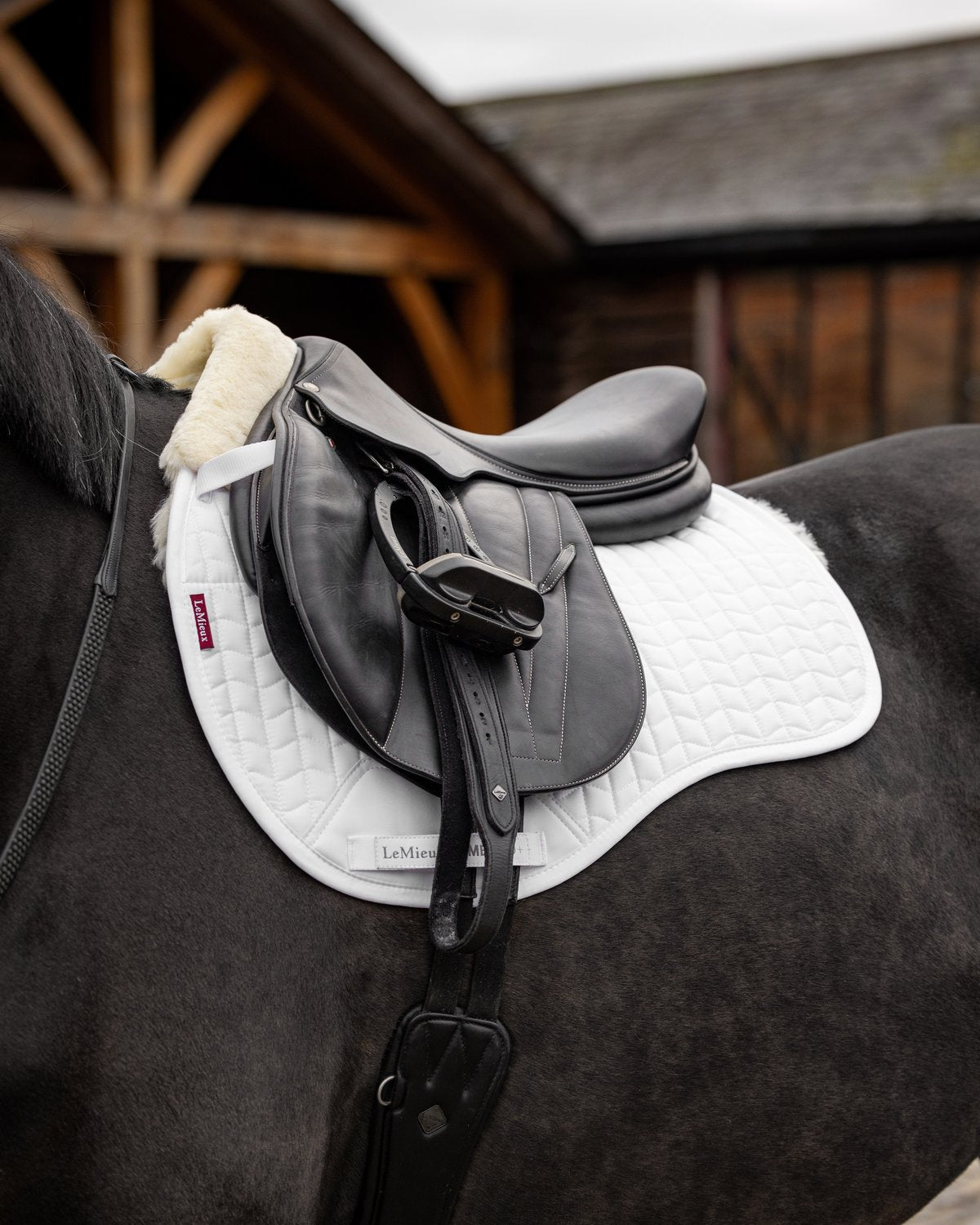 LeMieux Merino+ Half Lined GP Square Saddle Pad - White & Natural | Equiflair