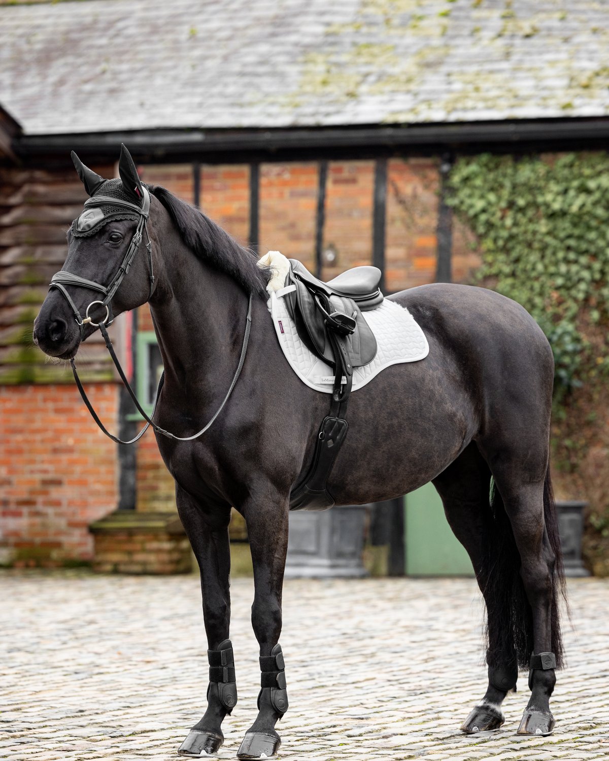 LeMieux Merino+ Half Lined GP Square White/Natural Saddle Pad for Horses - Equiflair Equestrian