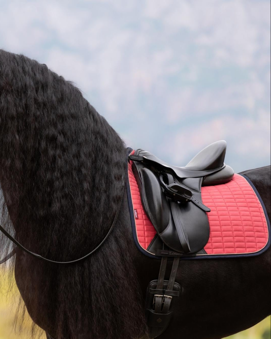LeMieux Suede Dressage Square Cranberry