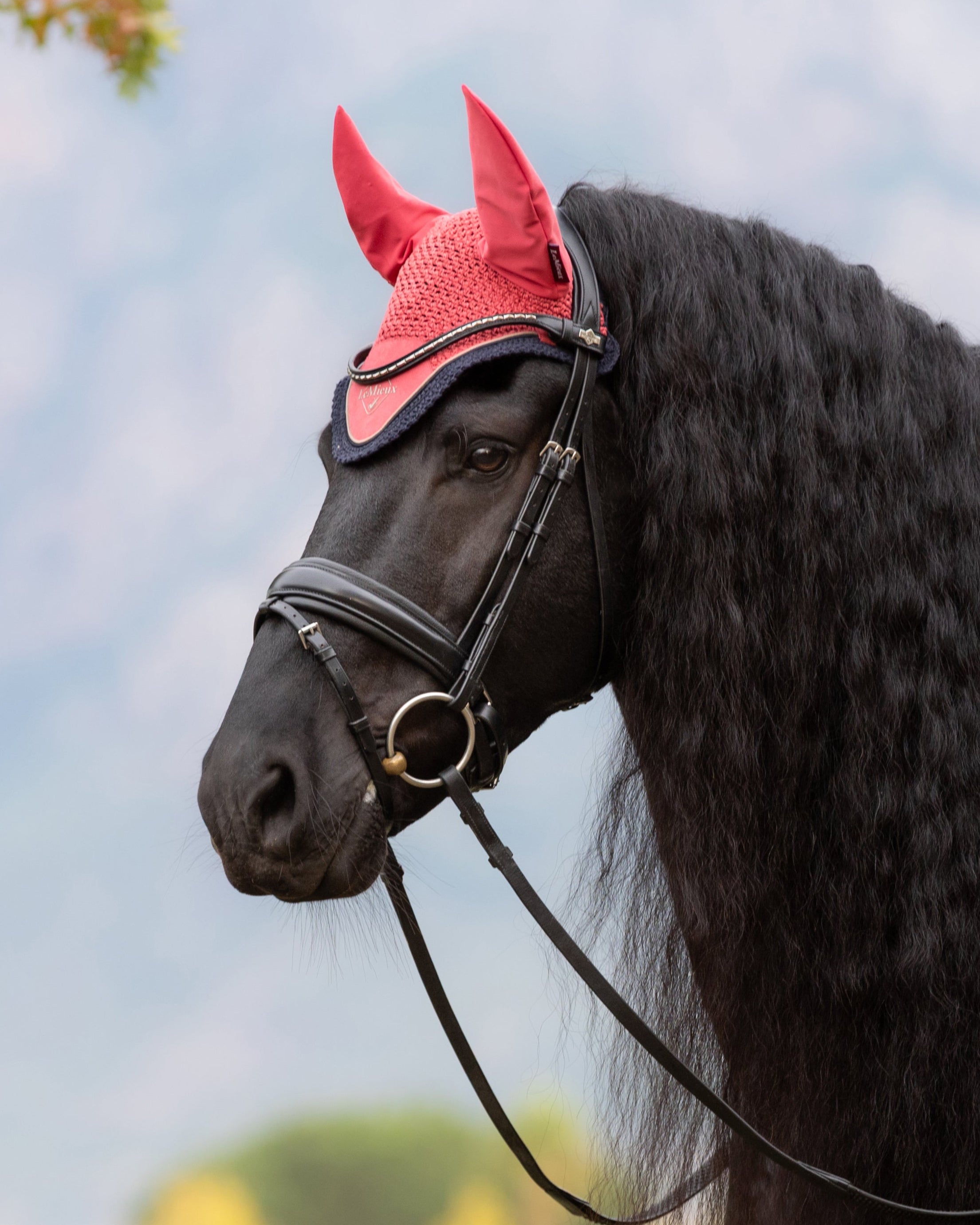 LeMieux Classic Fly Hood Cranberry