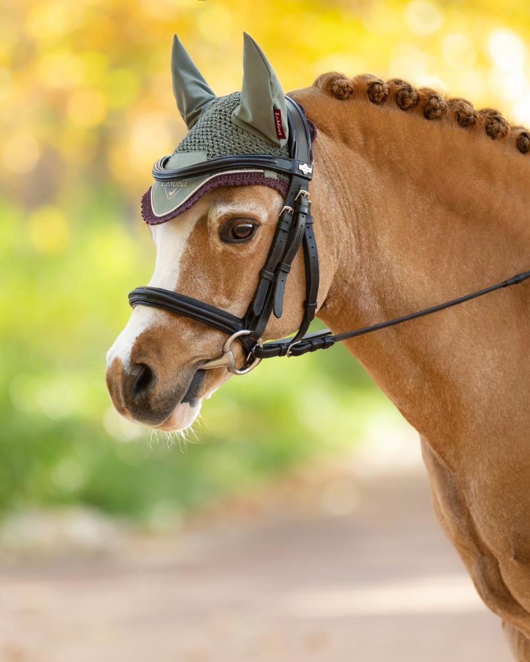 LeMieux Mini Classic Fly Hood Rosemary