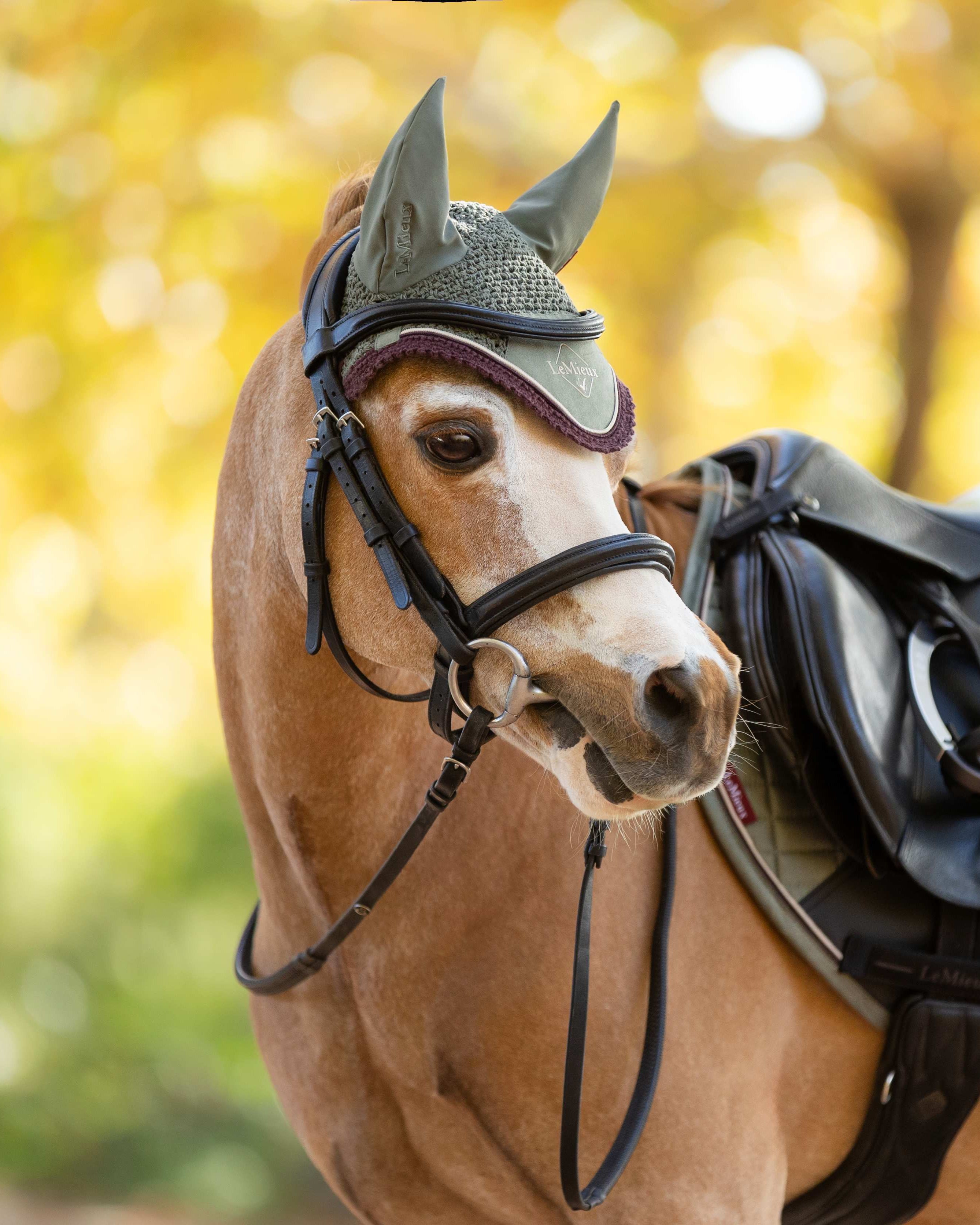 LeMieux Mini Classic Fly Hood Rosemary
