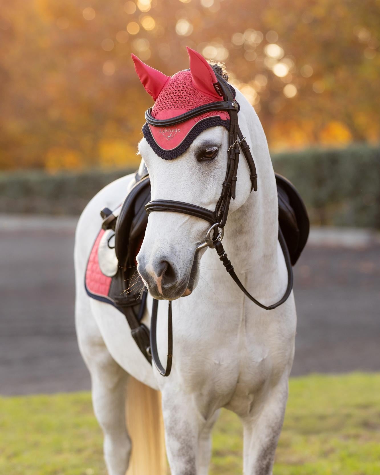 LeMieux Mini Classic Fly Hood Cranberry