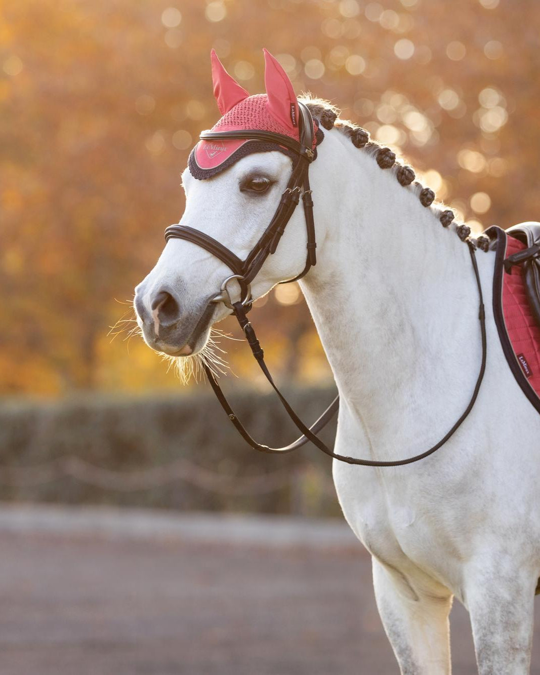 LeMieux Mini Classic Fly Hood Cranberry