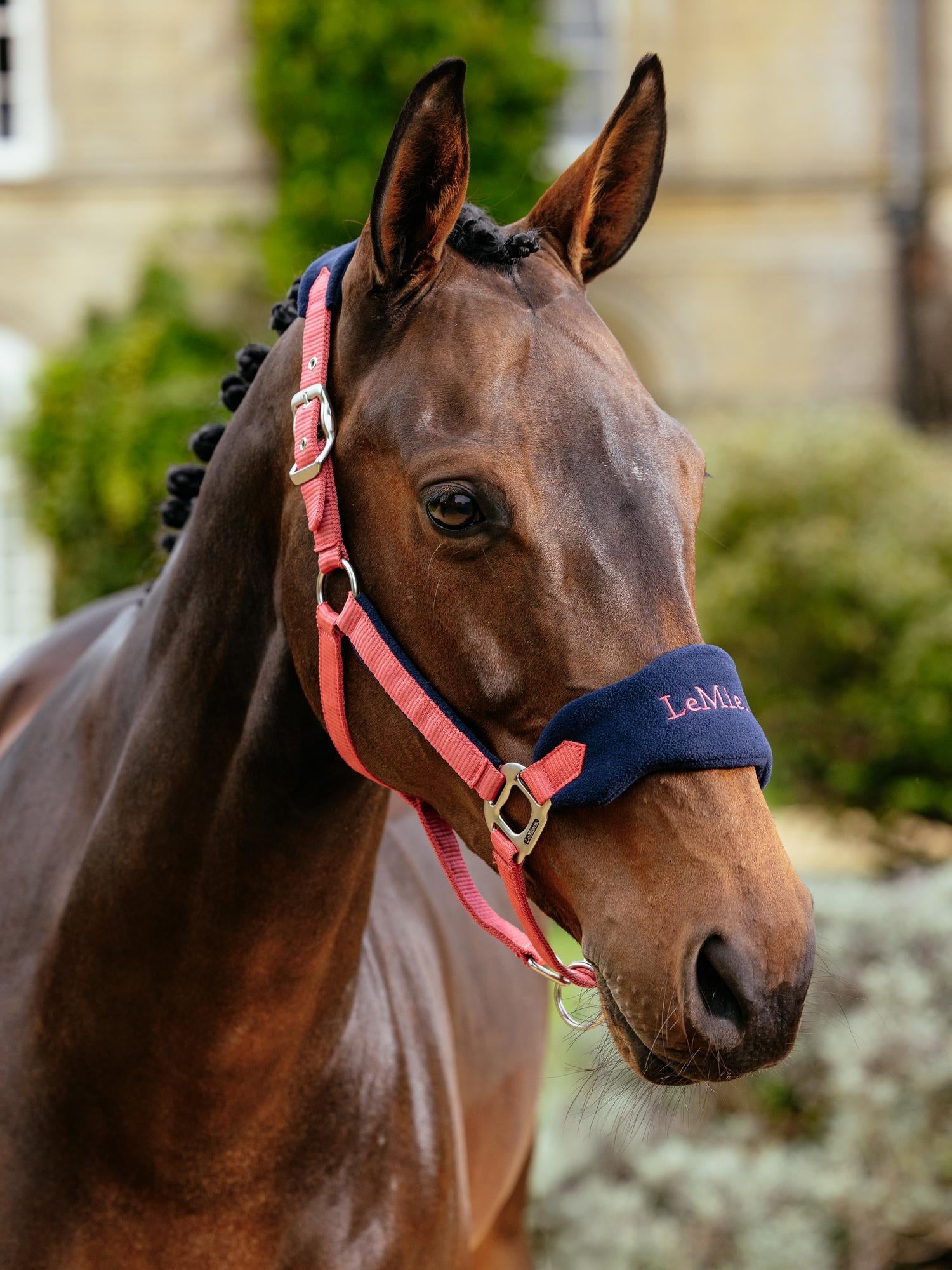 LeMieux Vogue Headcollar & Leadrope Cranberry