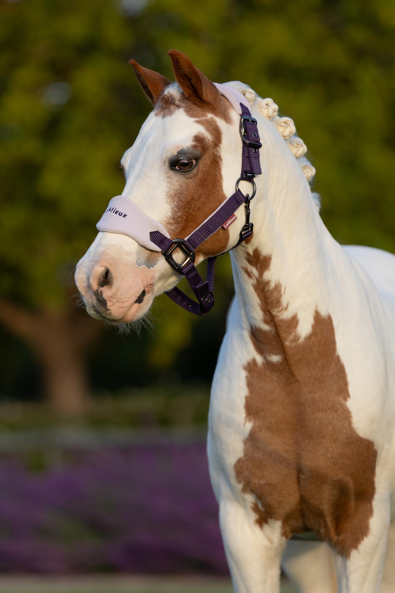 LeMieux Vogue Headcollar & Leadrope Juniper