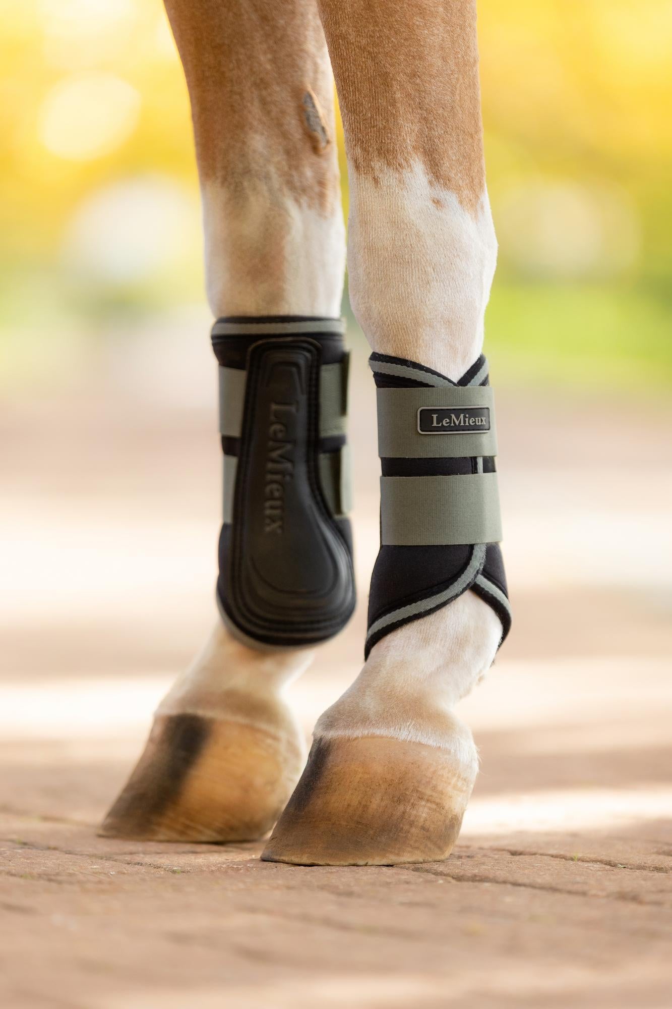 LeMieux Mini Grafter Brushing Boots Rosemary