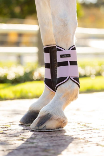 LEMIEUX GRAFTER BRUSHING BOOTS LILAC on Horse Legs - Equestrian Equipment