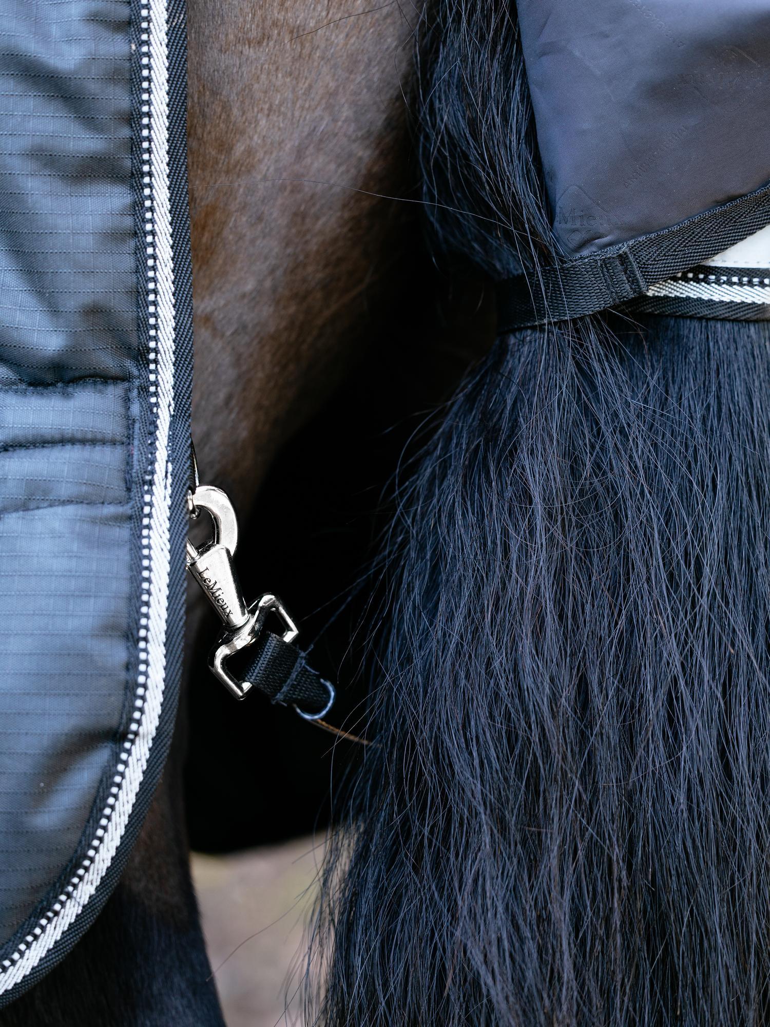 LeMieux Arika Reflective 100g Turnout Rug Black