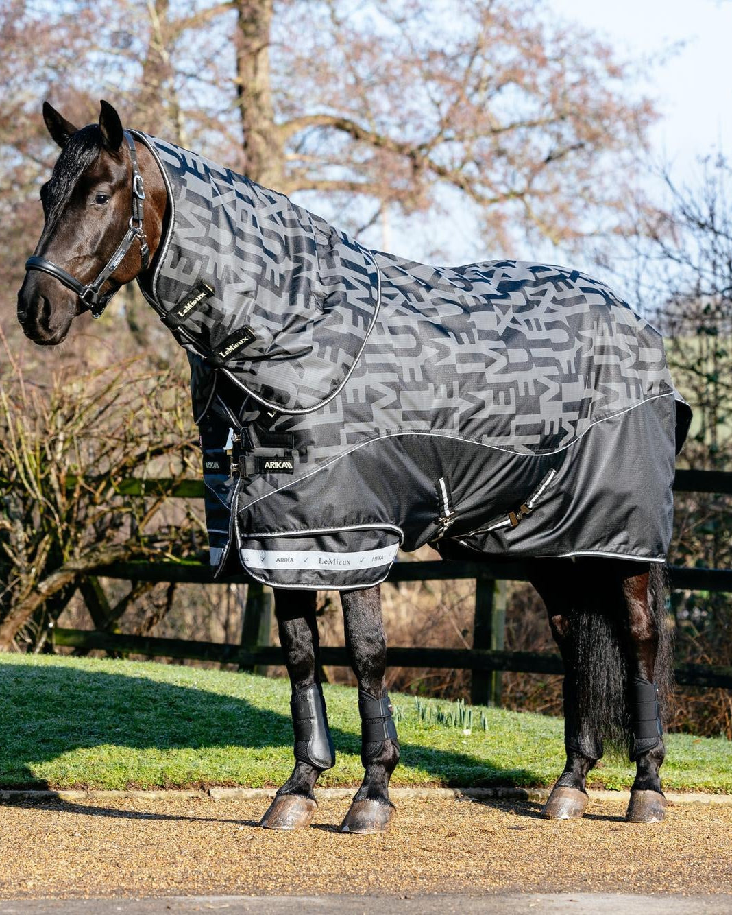 LeMieux Arika Reflective 0g Turnout Rug Black