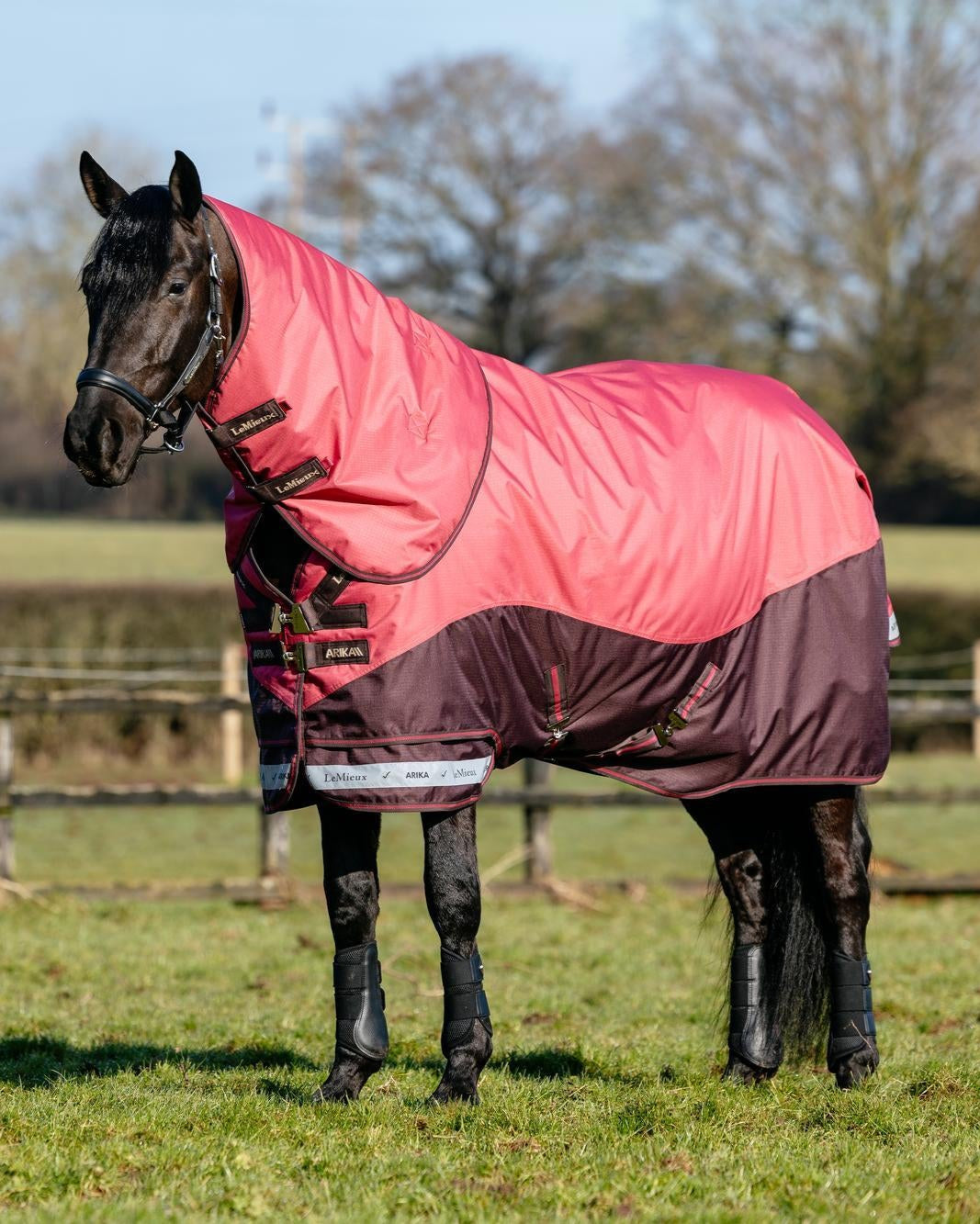LeMieux Arika Ripstop 0g Turnout Rug Cranberry
