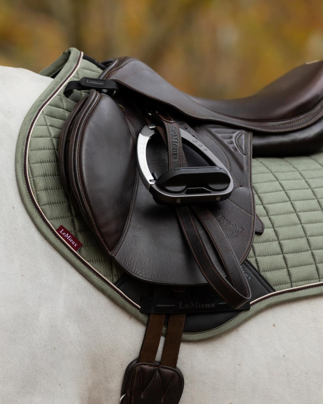 LeMieux Suede Close Contact Square Rosemary