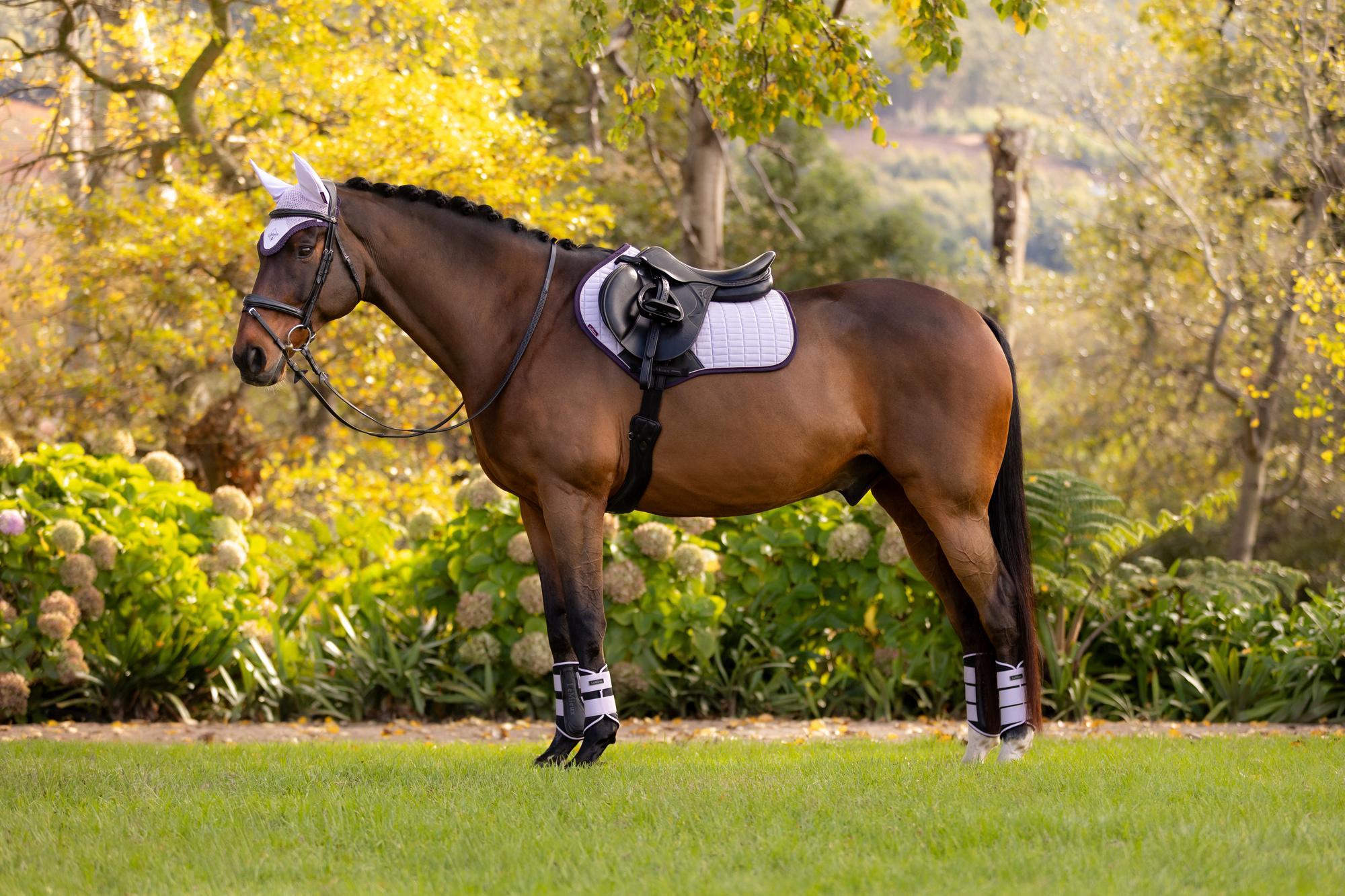 LEMIEUX Suede Close Contact Square Lilac Saddle Pad for Horses | Equestrian Jumping Pad