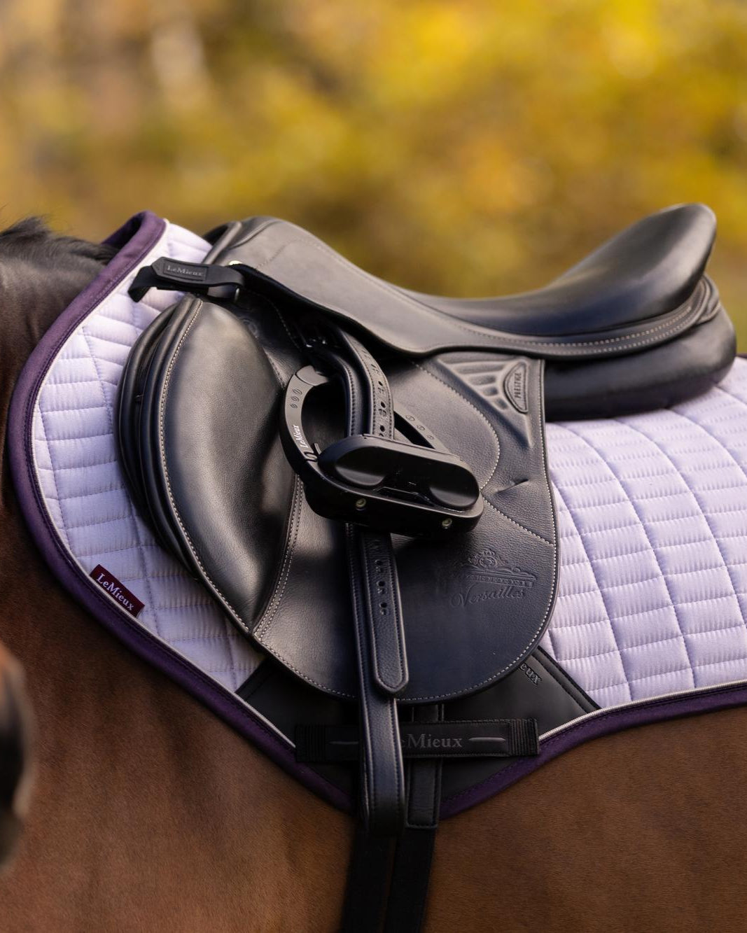 LeMieux Suede Close Contact Square Lilac
