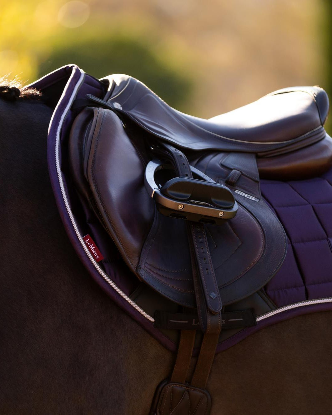 LeMieux Loire Classic Close Contact Square Juniper