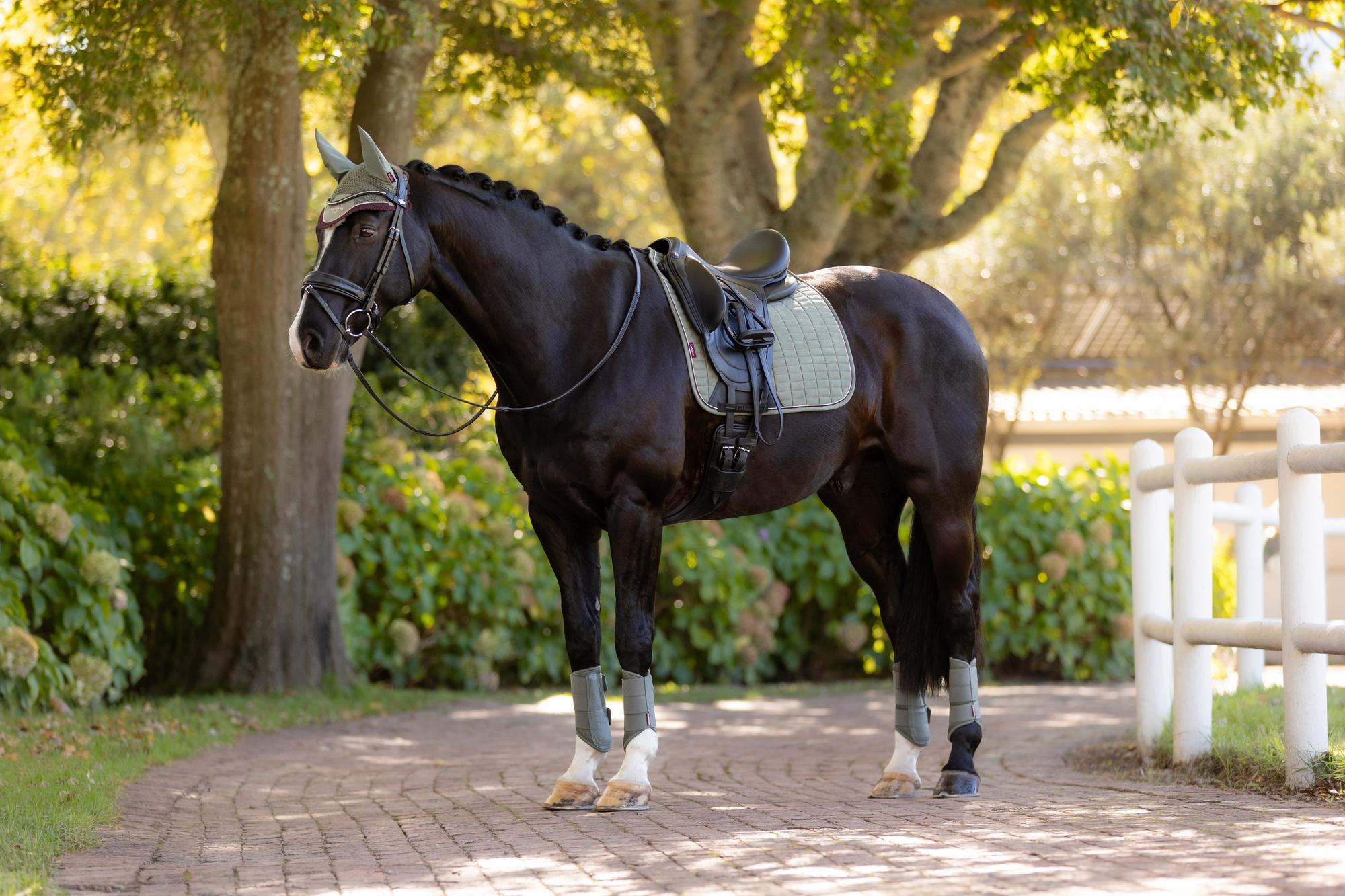 LeMieux Suede Dressage Square Rosemary