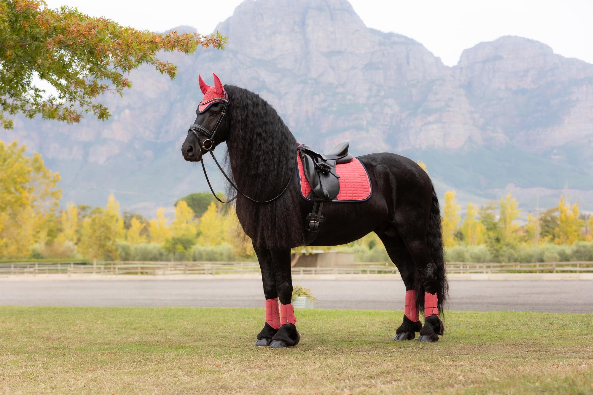 LEMIEUX SUEDE DRESSAGE SQUARE CRANBERRY: Stylish horse saddle pad by Equiflair. Perfect for Dressage