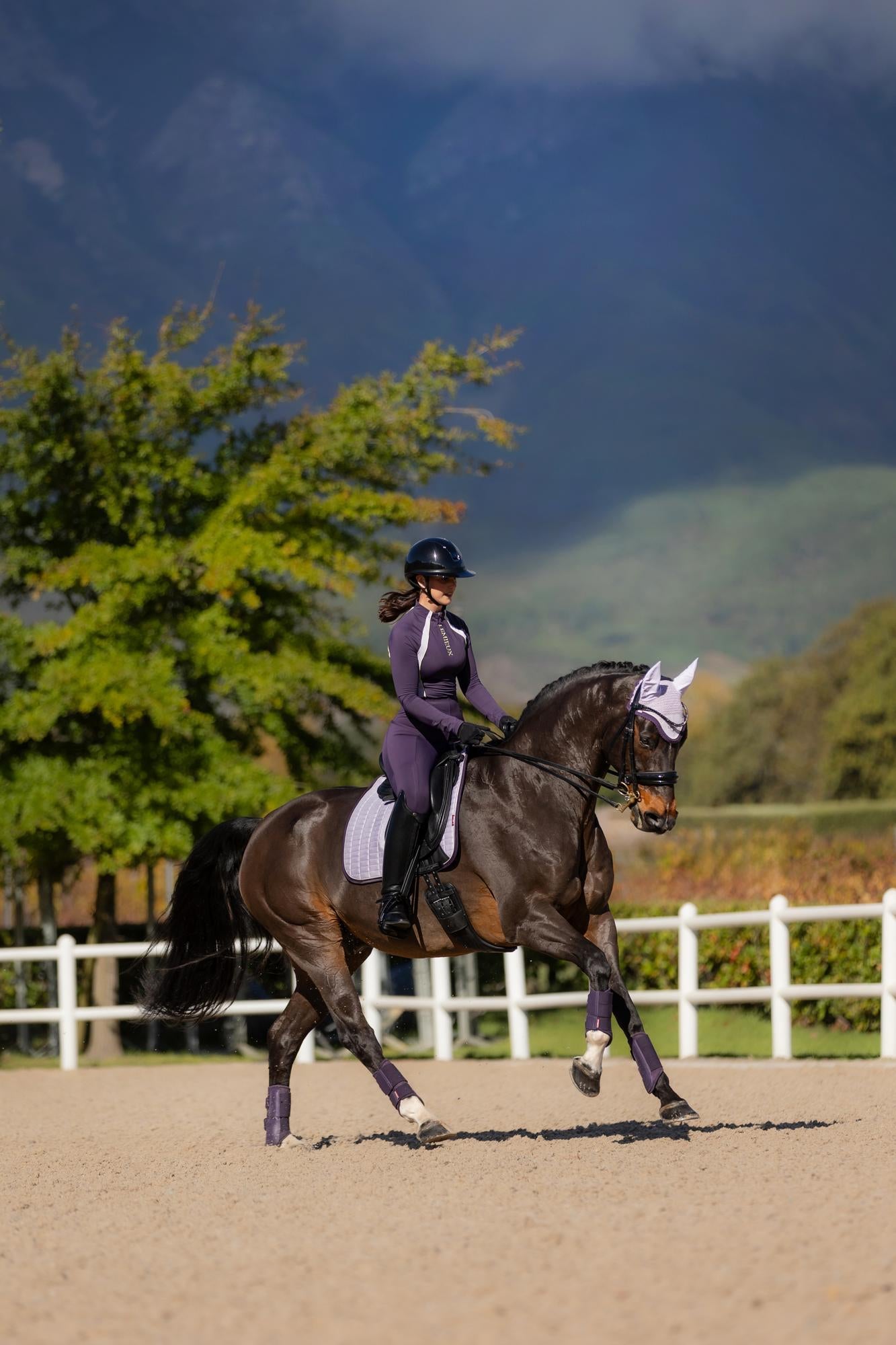LeMieux Suede Dressage Square Lilac