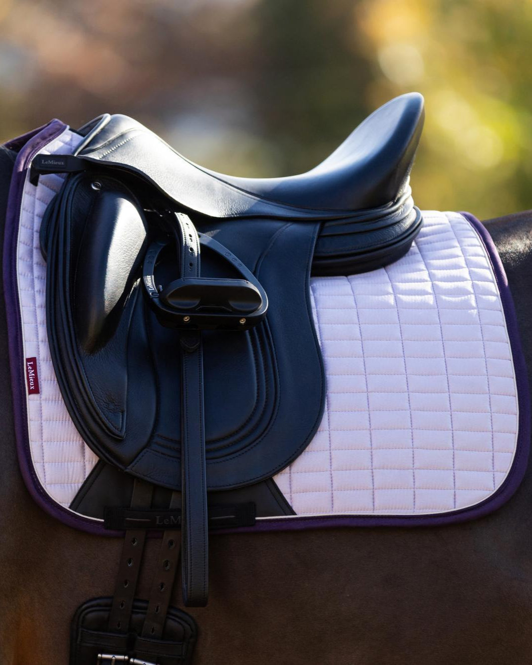 LeMieux Suede Dressage Square Lilac