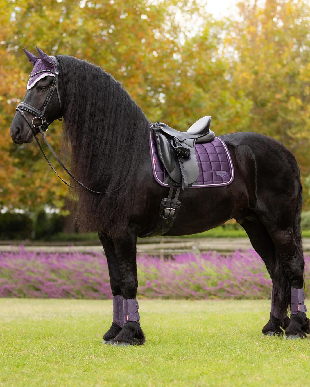 LeMieux Loire Classic Dressage Square Juniper