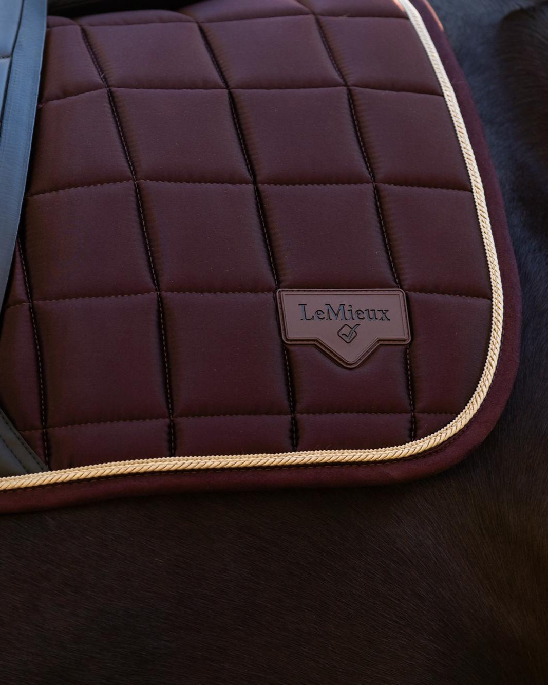 LeMieux Loire Classic Dressage Square Damson