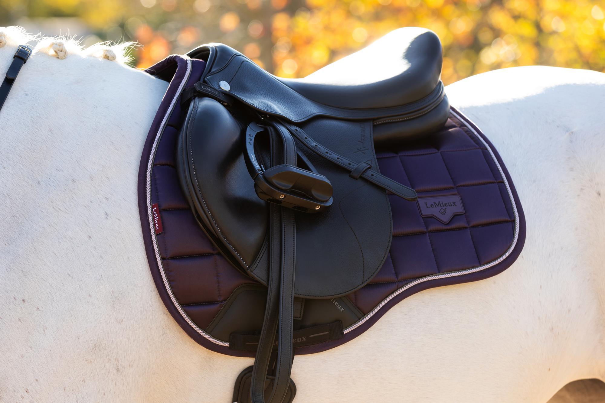 LeMieux Loire Classic GP Square Juniper