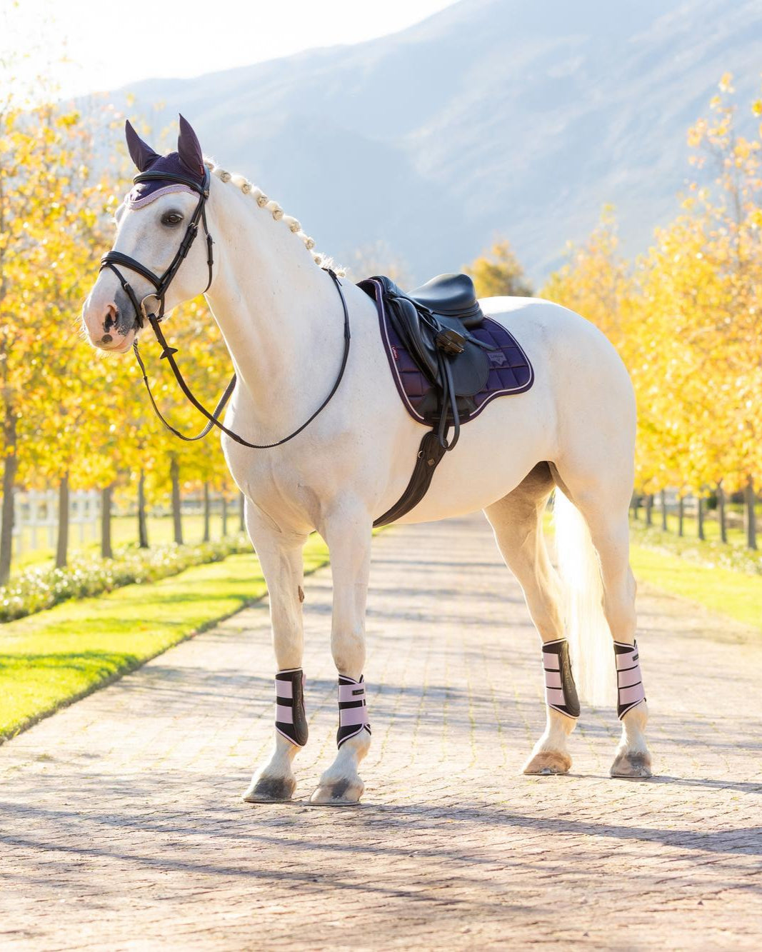 LeMieux Loire Classic GP Square Juniper