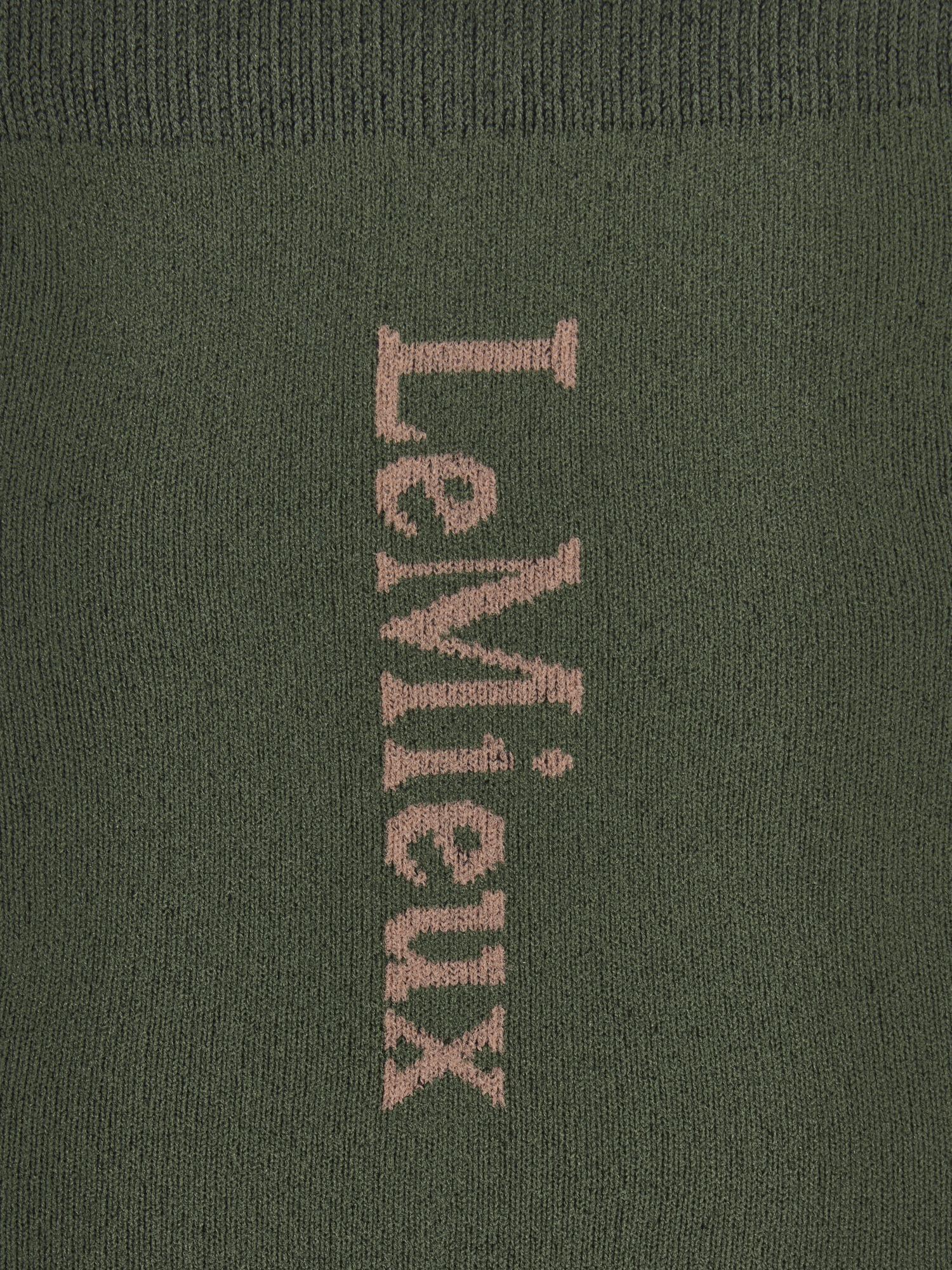 LeMieux Competition Socks 2 Pack Rosemary